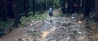Rozejście szlaków ↔ Skrzyżowanie szlaków
