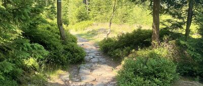 Pod Hromovkou ↔ Na Planí, horní stanice lanovky