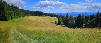 Pod Magurkou ↔ Sedlo Priehyby