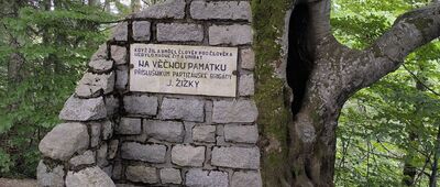 Martiňák, rozc.