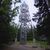 Młynica 653 m n.p.m. – Grzbiet Gór Izerskich