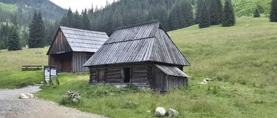 Polana Chochołowska ↔ Polana Chochołowska, odejście szlaku zielonego