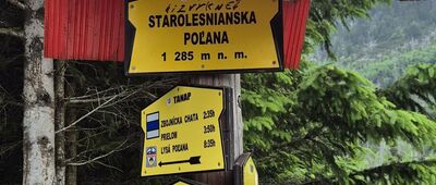 Starolesnianska poľana