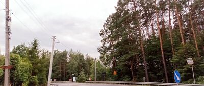 Pusta Kuźnica