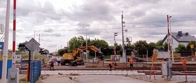 Rusinowice