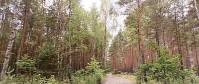 Piłka