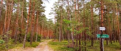 Piłka