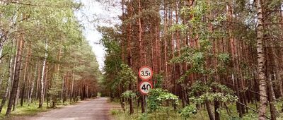 Piłka
