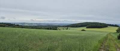 Rozejście szlaków niebieski / żółty ↔ Pod Wojkową