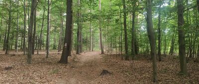 Tumlin-Podgród ↔ Grodowa