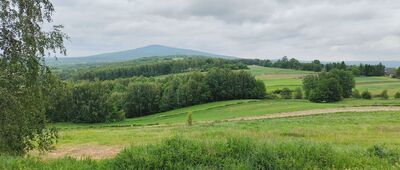 Wymyślona