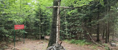 Szczytniak