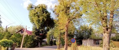 Sośniowice, ul. Powstańców