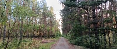 Tworóg Mały ↔ Rozejście szlaków