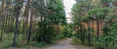 Rozejście szlaków