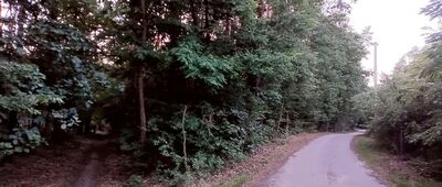 Podbiała, węzeł szlaków