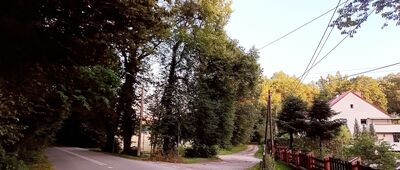 Rudy, Zespół Klasztorno-Pałacowy ↔ Rozejście szlaków
