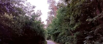Podbiała, węzeł szlaków