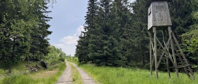 Pod Wysoką
