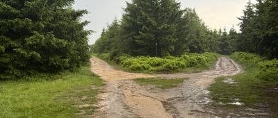 Rozdroże pod Zwaliskiem