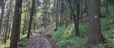 Morávka Lipové, rozc. ↔ Pod Velkým Lipovým, rozc.