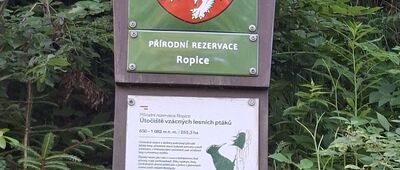 Morávka Lipové, rozc. ↔ Pod Velkým Lipovým, rozc.