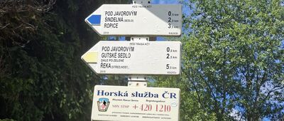 Javorový, vrchol