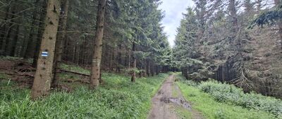 Pod Javorovým ↔ Šindelná, sedlo