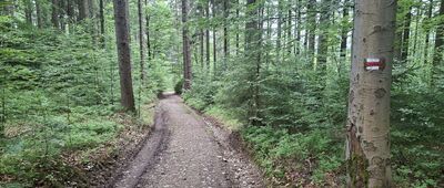 Kalužný, rozc. ↔ Babí Vrch, rozc.
