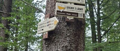 Babí Vrch, rozc.