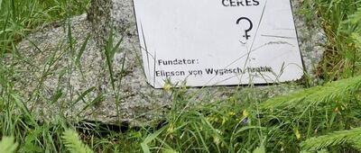 Dziczy Jar ↔ Orle, rozejście szlaków