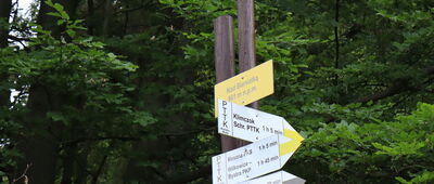 Skrzyżowanie szlaków żółty - czarny