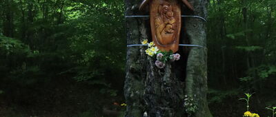 Lanckorona