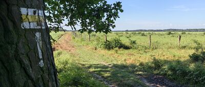 Bolesławiec, Zabobrze ↔ Dobra, rozwidlenie szlaków