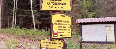 Tokariny