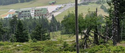Schronisko PTTK Odrodzenie, skrzyżowanie ↔ Pod Małym Szyszakiem