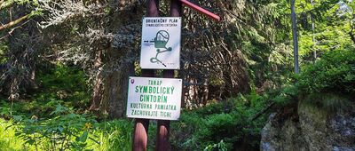 Popradské pleso, rázcestie ↔ Popradská polana