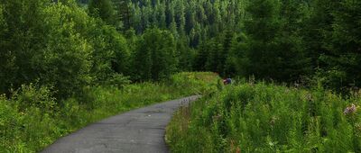 Popradské Pleso, zastavka ↔ Popradská polana