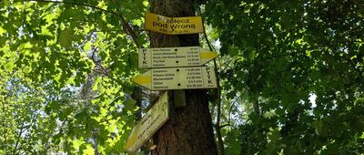 Przełęcz pod Wroną
