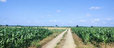 Hordzieżka ↔ Wola Okrzejska