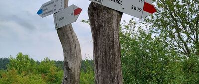 Pod Zelejową