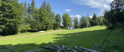 Rozdroże pod Grzybowcem ↔ Michałowice