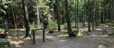 Rozejście szlaków