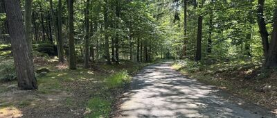 Rozejście szlaków
