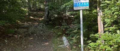 Jagniątków, rozejście szlaków