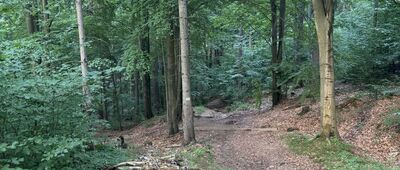 Jagniątków, rozejście szlaków ↔ Rozejście szlaków
