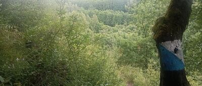 Rezerwat Kajasówka ↔ Jaskinia Przegińska
