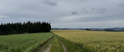 Rozdroże pod Rozłogiem ↔ Wojcieszyce