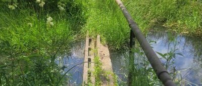 Borucza ↔ Tadeuszów [Kładka na szlaku. Łatwo ją przeoczyć.]