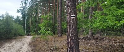 Grodzisko stożkowate w Rudzie ↔ Cmentarz wojenny w Budach Grabskich